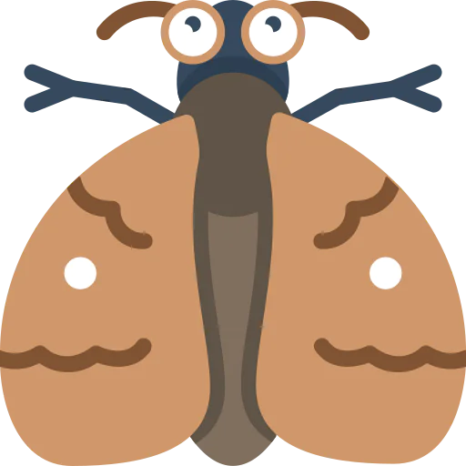 Moth icon
