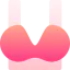 Bra アイコン 64x64