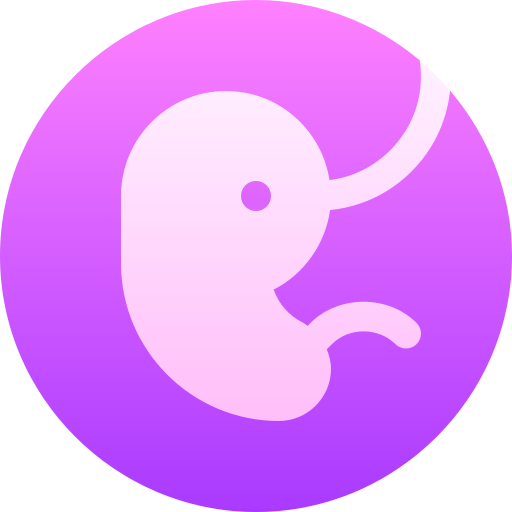 Fetus icon