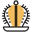 Cactus biểu tượng 64x64