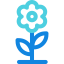 Flower icon 64x64