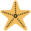 Starfish biểu tượng 64x64