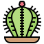Cactus biểu tượng 64x64