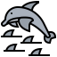 Dolphin biểu tượng 64x64