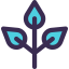 Plant icon 64x64