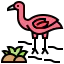 Flamingo biểu tượng 64x64