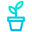 Plant icon 64x64