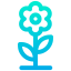 Flower icon 64x64