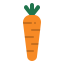 Carrot ícono 64x64