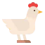Chicken ícono 64x64