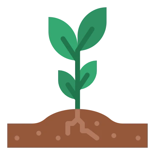 Sprout ícono