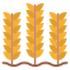 Wheat アイコン 64x64