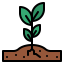 Sprout icon 64x64