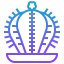 Cactus アイコン 64x64