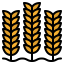 Wheat アイコン 64x64