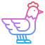 Chicken icon 64x64