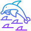 Dolphin アイコン 64x64