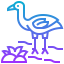 Flamingo 图标 64x64