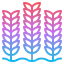 Wheat アイコン 64x64