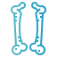 Bone icon 64x64