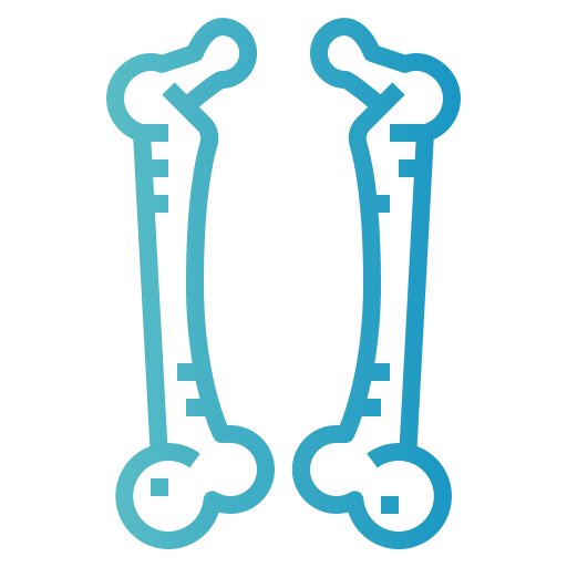 Bone icon