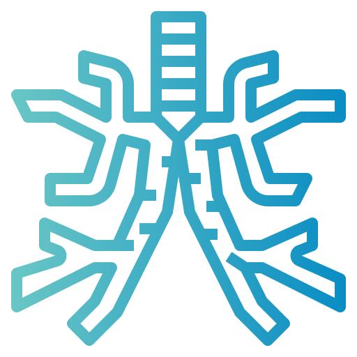 Bronchus icon