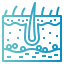 Epidermis icon 64x64