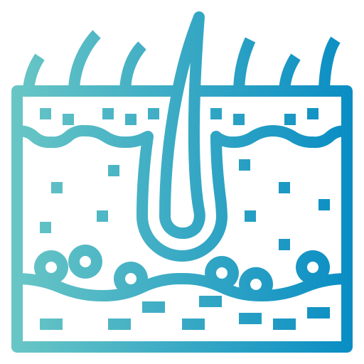 Epidermis icône