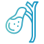 Gallbladder icon 64x64