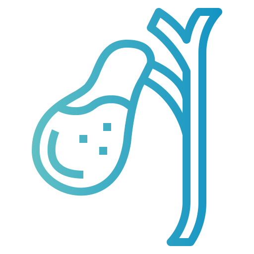 Gallbladder icon