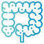 Intestine icon 64x64