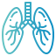 Lungs icon 64x64
