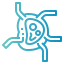 Lymph nodes icon 64x64