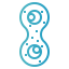 Mitosis icon 64x64