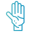 Palm icon 64x64