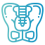 Pelvis icon 64x64