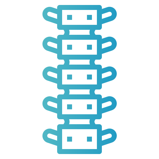 Spinal column icon