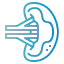 Spleen icon 64x64