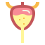 Bladder icon 64x64