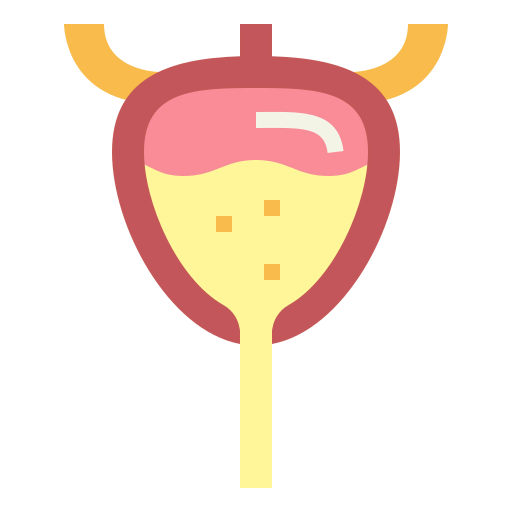 Bladder icon