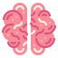 Brain icon 64x64