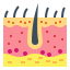 Epidermis icon 64x64
