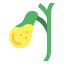 Gallbladder icon 64x64
