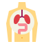 Human organ icon 64x64