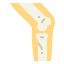 Knee icon 64x64
