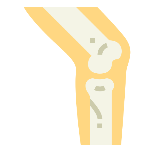 Knee icon