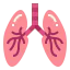 Lungs icon 64x64