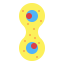 Mitosis icon 64x64
