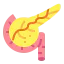 Pancreas icon 64x64