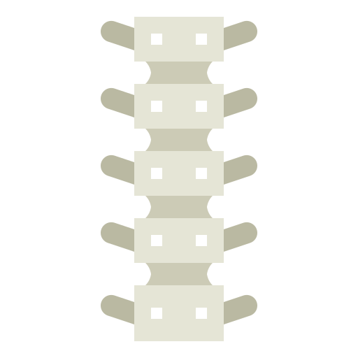 Spinal column icon